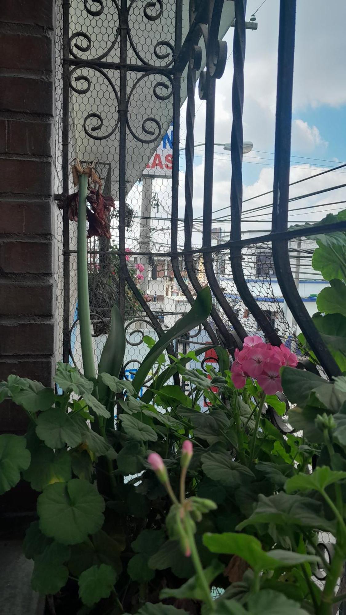 Hotel El Meson Guatemala 外观 照片